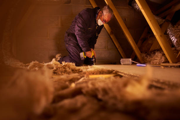 Best Cellulose Insulation in Piney Point Village, TX
